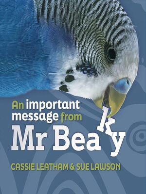 cover image of An Important Message From Mr Beaky 